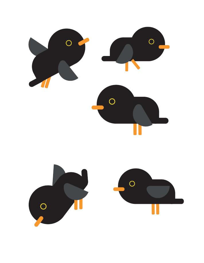 oiseau